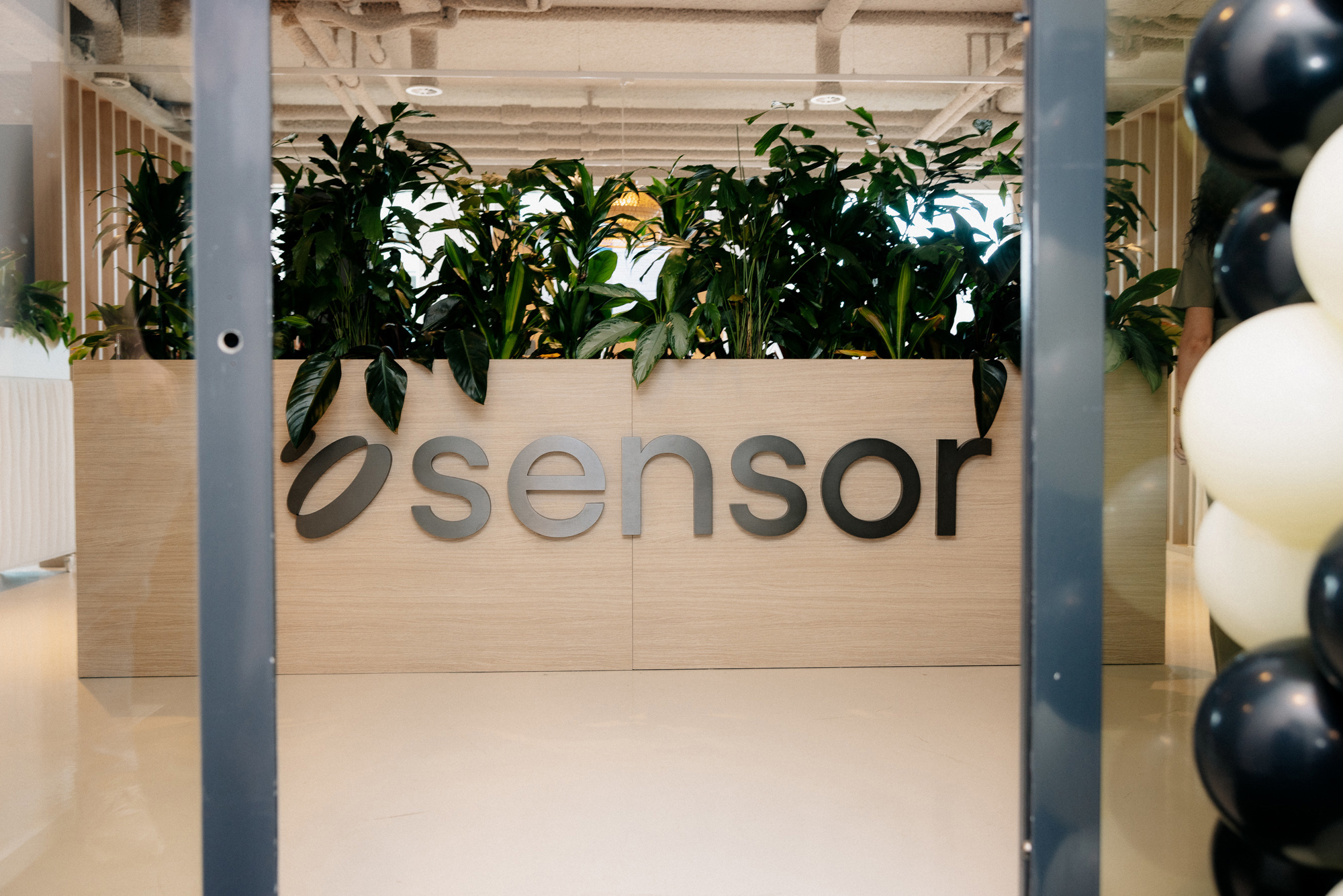 260416 Sensor Lores Jaapbeyleveld 3