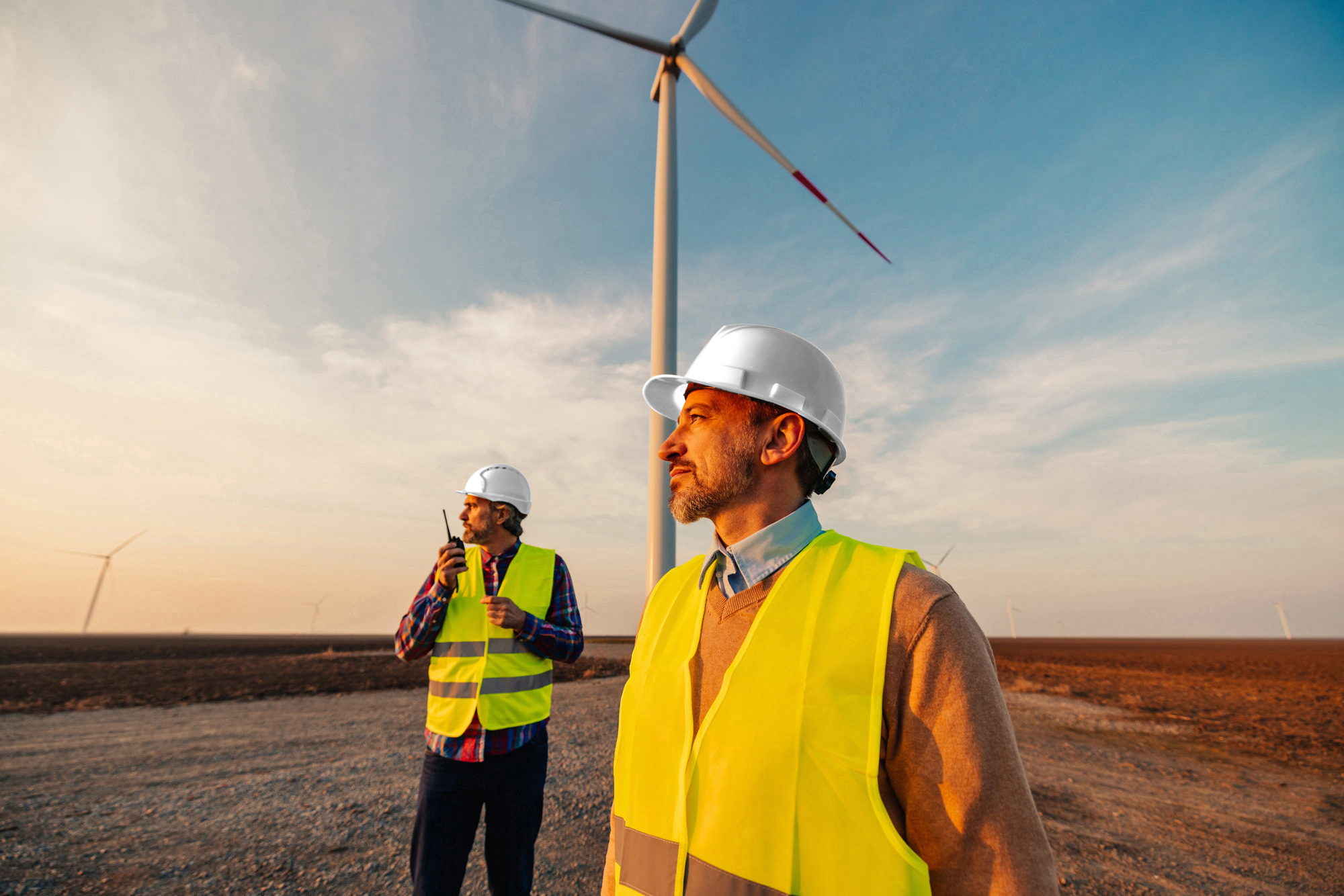 Projectmanagers Klimaat Kijken In De Verte Naar Links